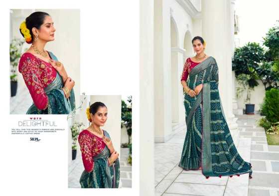 5D-DESIGNER-ABHIJEET-SOFT-NILGIRI-CHIFFON-WITH-VISCOSE-BORDER-WITH-EMBROIDERY-WORK-BLOUSE-CATLOG-10