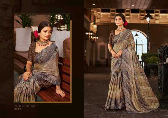 5D-DESIGNER-PARIDHI-CHIFFON-BRASSO-WITH-CUT-PALLU-BORDER-WITH-SARVOSKI-WEAVING-BLOUSE-CATLOG-9