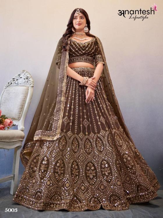 ANANTESH-OCCATIONS-VOL-2-SERIES-5003TO5008-PREMIUM-BUTERFLY-NET-BEUTIFUL-LEHENGA-CATLOG-10