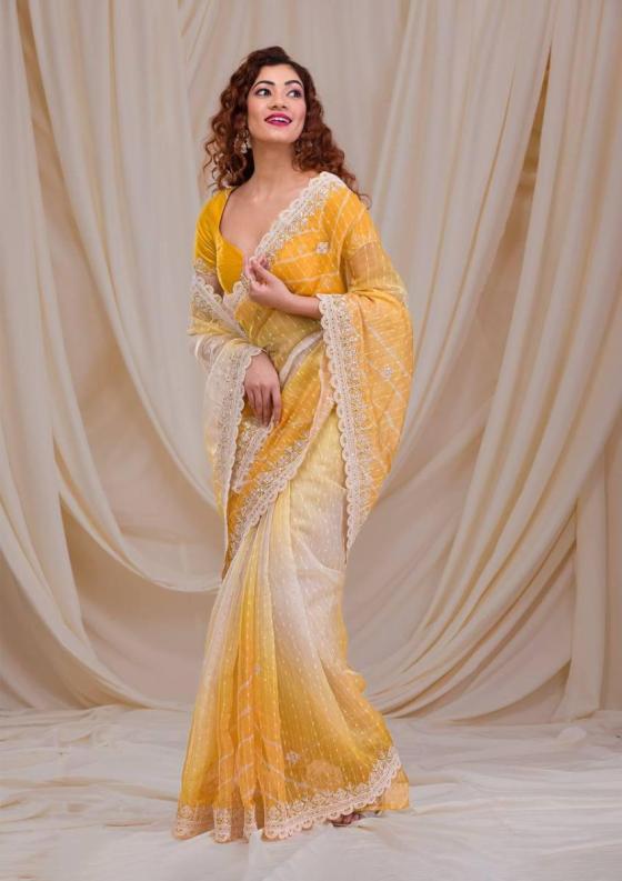 BT-DS-NO-1209-GEORGETTE-EMBROIDERY-ALL-OVER-5.5mtr-SEQUINS-THREADWORK-BORDER-CODDING-SEQUINS-WORK-SAREE-CATLOG-3