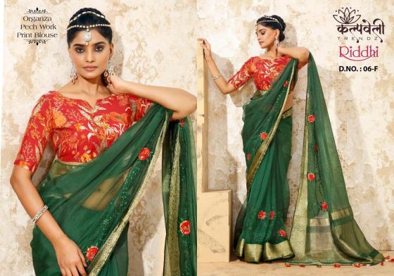 KALPATRU-FASHION-RIDDHI-6-ORGANZA-SILK-PECH-WORK-DESIGN-WITH-PRINT-BLOUSE-SAREE-CATALOGUE-2