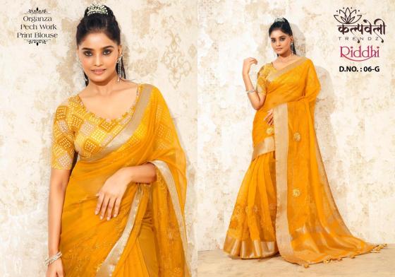 KALPATRU-FASHION-RIDHI-6-ORGANZA-FABRIC-SAREE-BEAUTIFUL-FLOWER-PATCH-WORK-WITH-JACQUARD-BORDER-PRINT-BLOUSE-SAREE-CATALOGUE-5