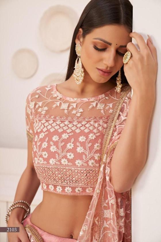 NARAYANI-FASHION-HOUSE-KELAYA-VOL-1-SERIES-2103-TO-2103C-MONO-NET-WITH-EMBROIDERY-11