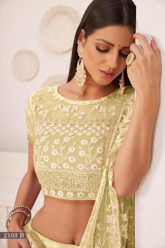 NARAYANI-FASHION-HOUSE-KELAYA-VOL-1-SERIES-2103-TO-2103C-MONO-NET-WITH-EMBROIDERY-5