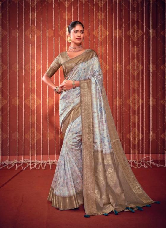 PANKH-SWASTIK-SELF-CHECKS-ALLOVER-DIGITAL-PRINT-SAREE-CATLOG-11