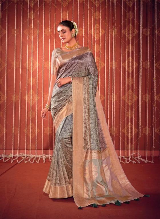 PANKH-SWASTIK-SELF-CHECKS-ALLOVER-DIGITAL-PRINT-SAREE-CATLOG-9