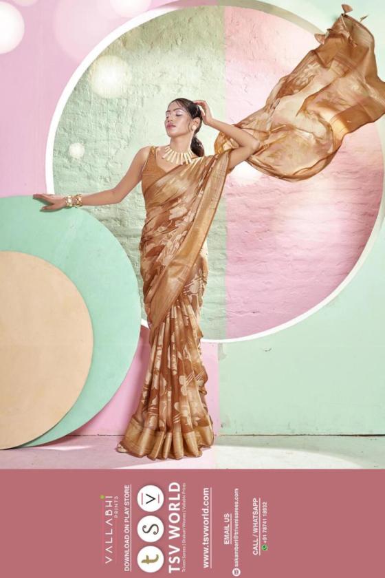 VALLABHI-PRINTS-JAGJEEVA-6PCS-BEAUTIFUL-BRASSO-SAREE-CATALOGUE-11